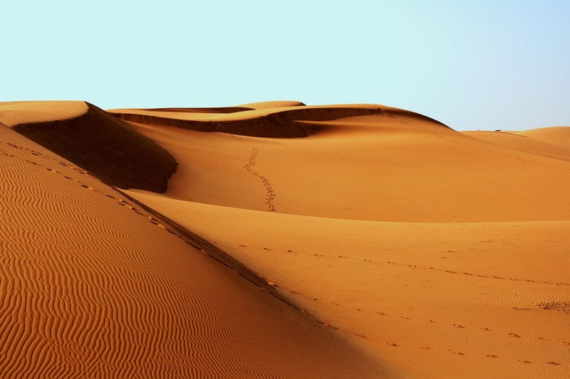 Desert Adventure